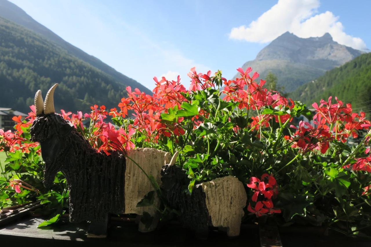 Ferienhaus Alea Saas-Grund Buitenkant foto